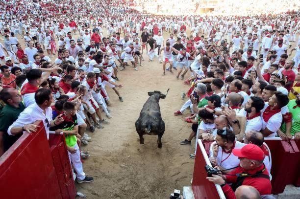 Trampantojo Apartamento En El Corazon De Pamplona Lejlighed Eksteriør billede
